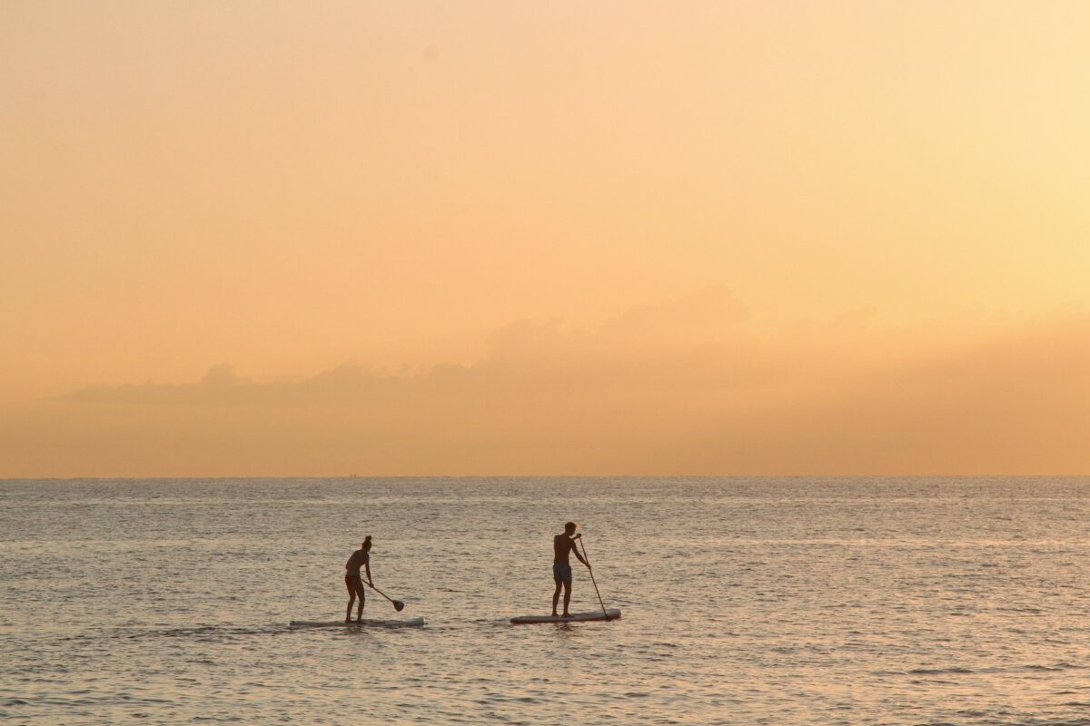 ironwulf-paddle-board-sunset