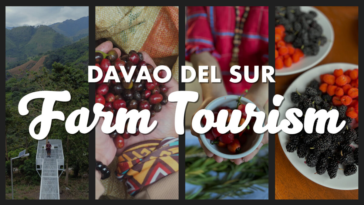 Davao del Sur Farm Tourism