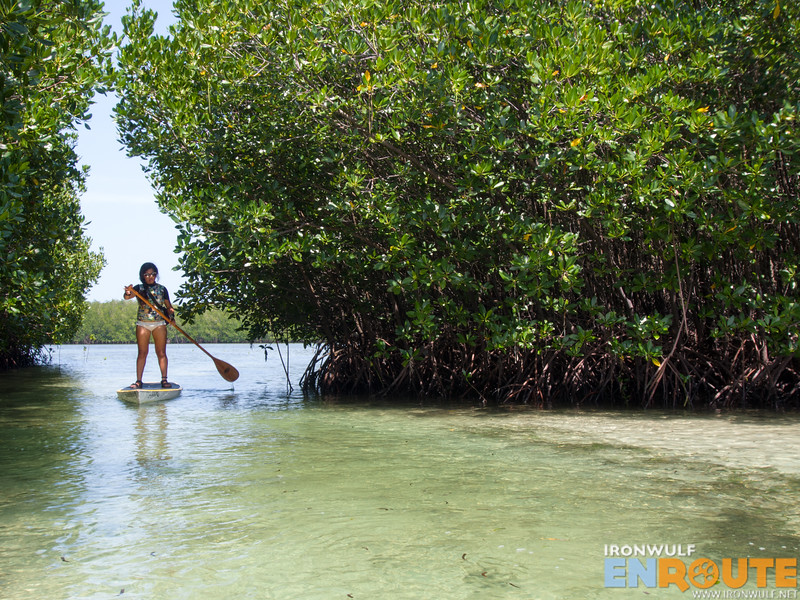Entering Banacon Island mangrove